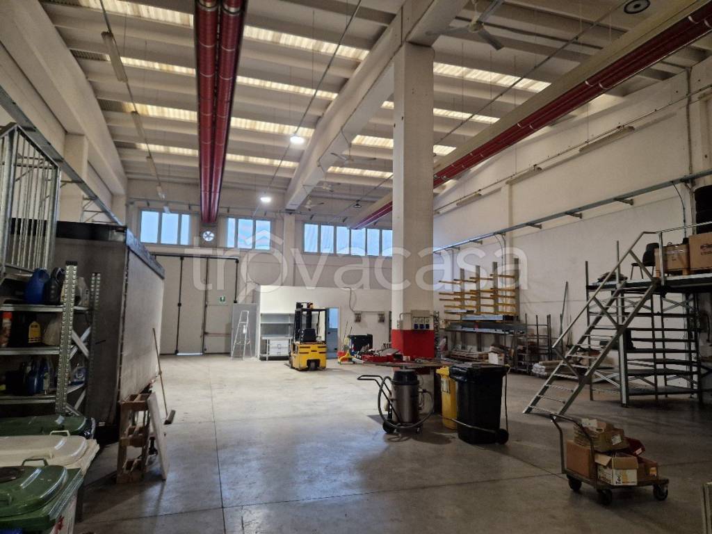 immagine annuncio 7 di 13