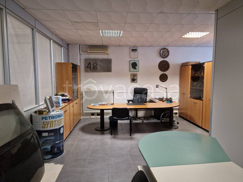 immagine annuncio 12 di 13