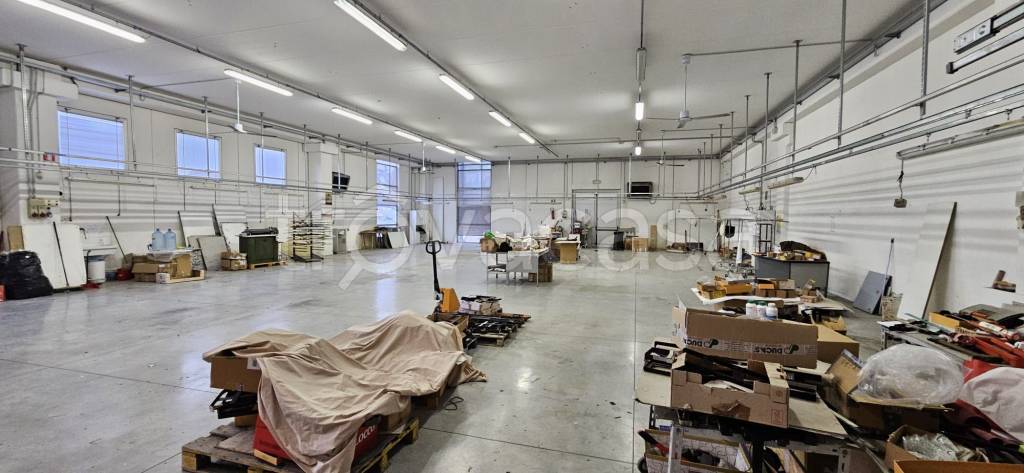 immagine annuncio 2 di 3