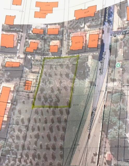 immagine annuncio 1 di 2