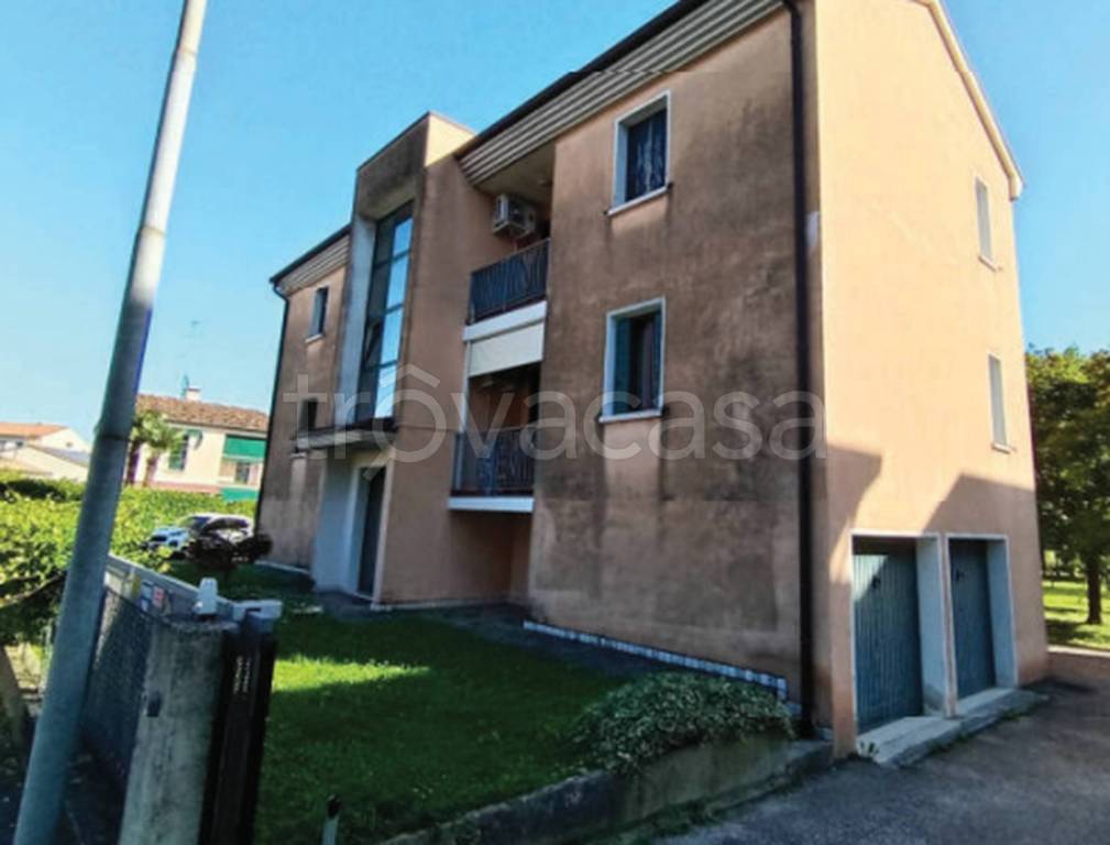 immagine annuncio 7 di 11