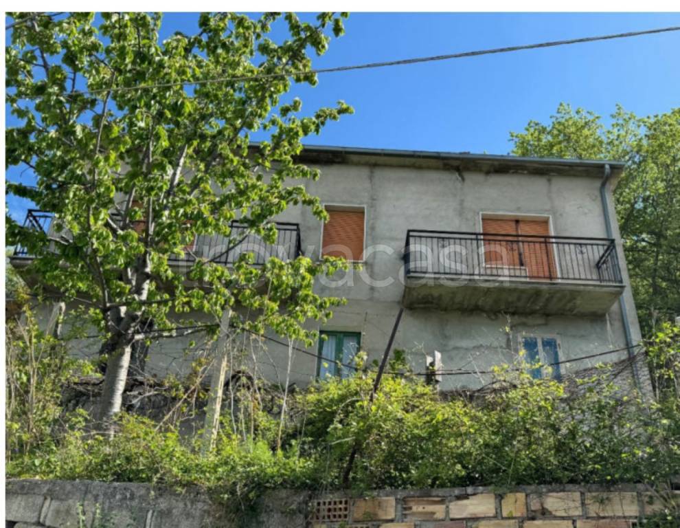 immagine annuncio 2 di 12