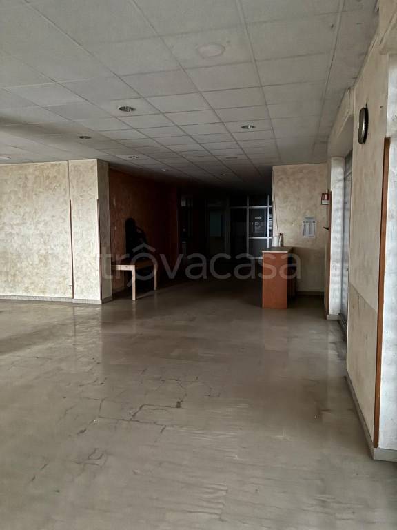 immagine annuncio 5 di 12