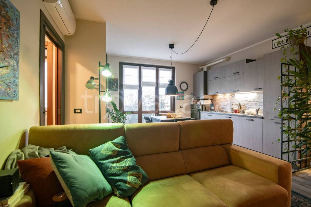 immagine annuncio 8 di 15