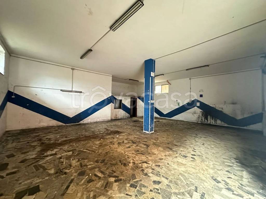 immagine annuncio 8 di 11