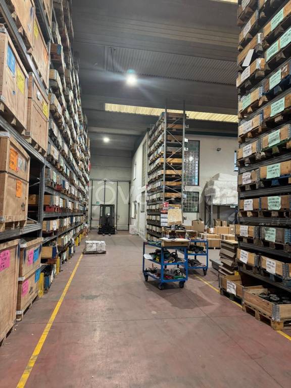 immagine annuncio 3 di 13