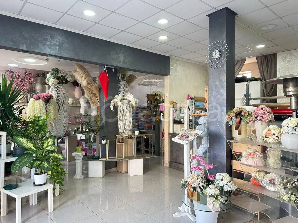 immagine annuncio 7 di 11