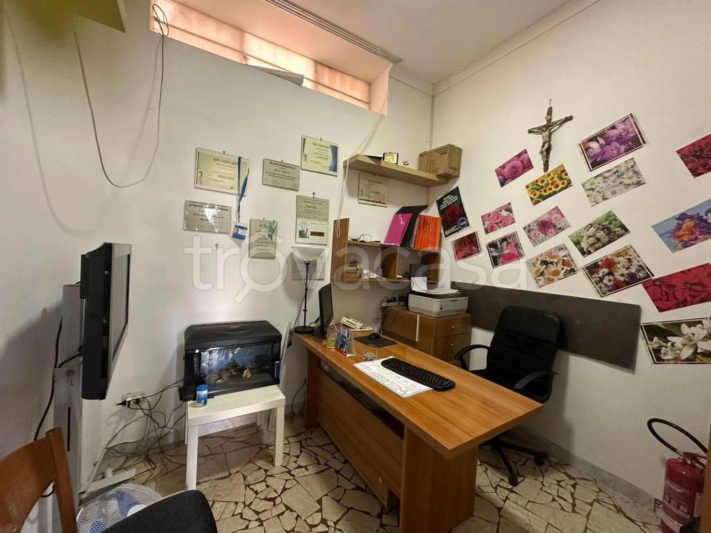 immagine annuncio 9 di 11