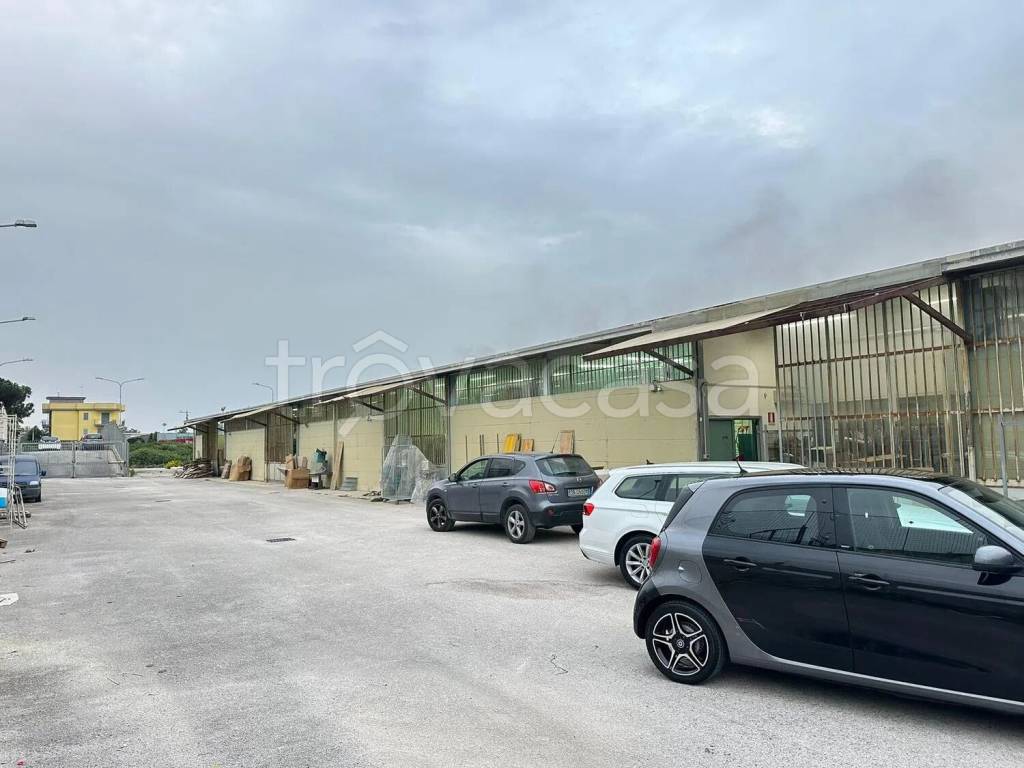 immagine annuncio 2 di 12