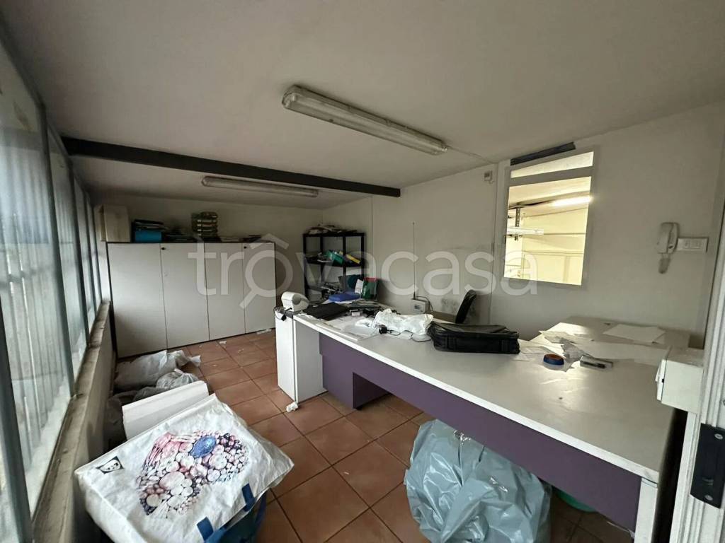 immagine annuncio 5 di 12