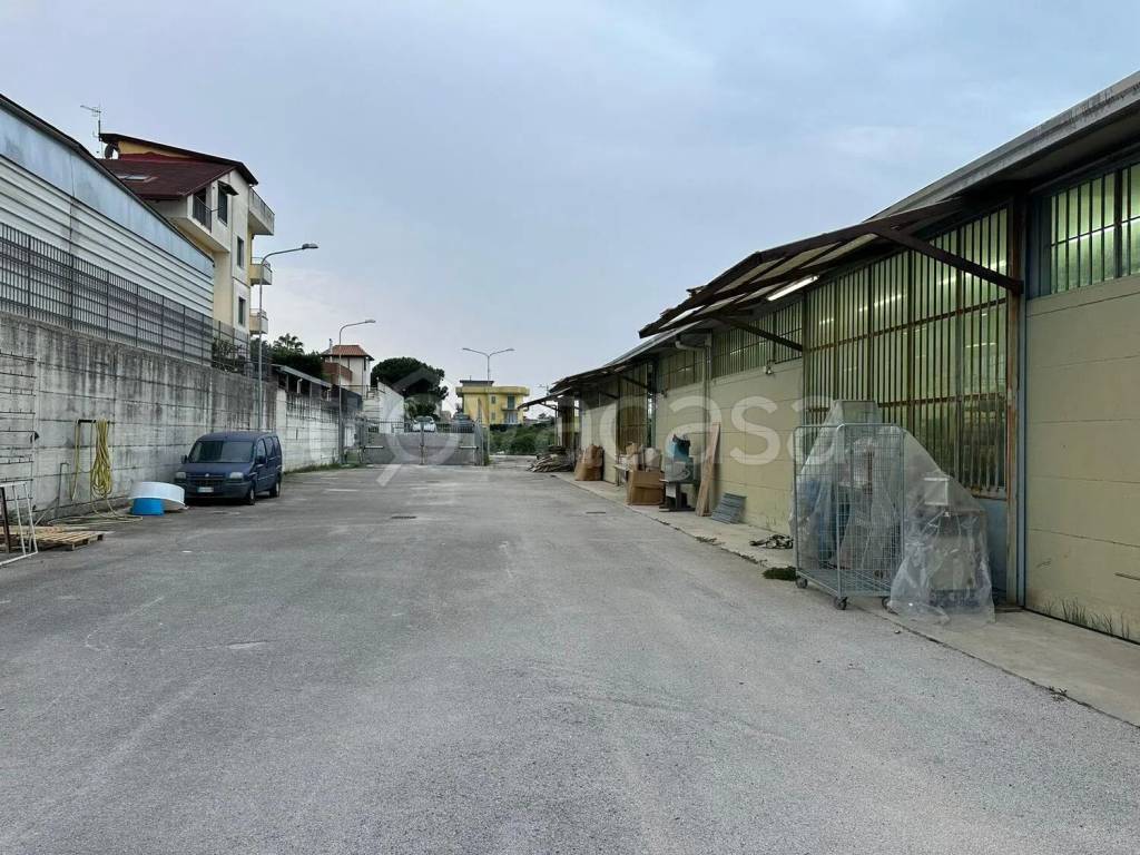 immagine annuncio 8 di 12