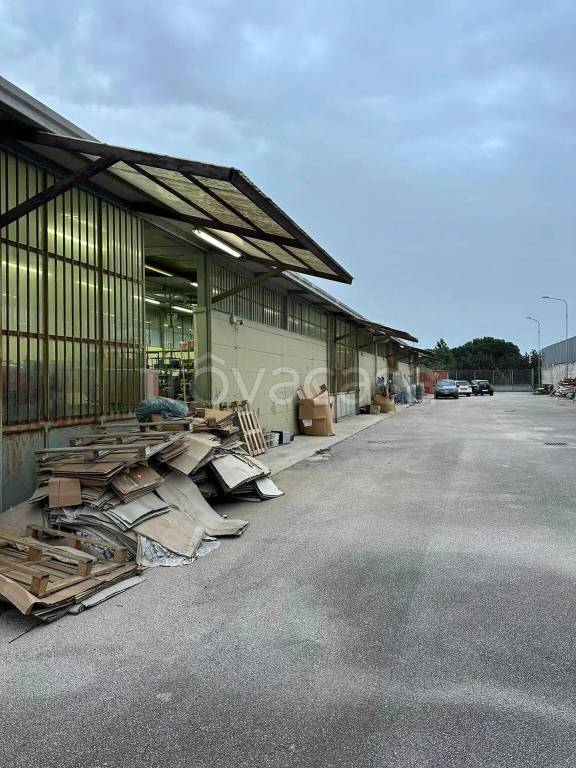 immagine annuncio 9 di 12