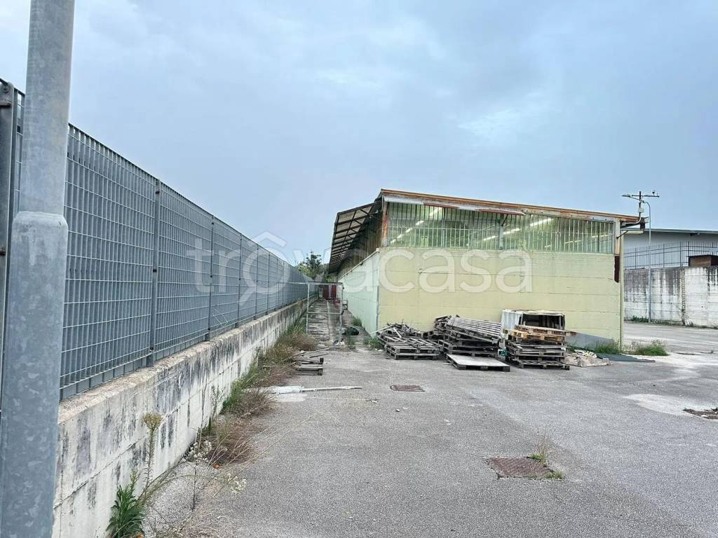 immagine annuncio 10 di 12