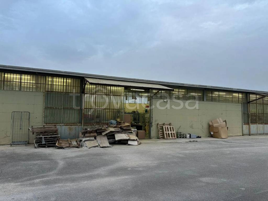 immagine annuncio 11 di 12