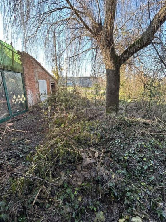 immagine annuncio 1 di 14