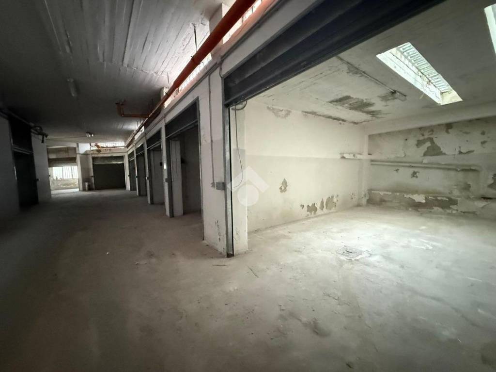 immagine annuncio 3 di 11