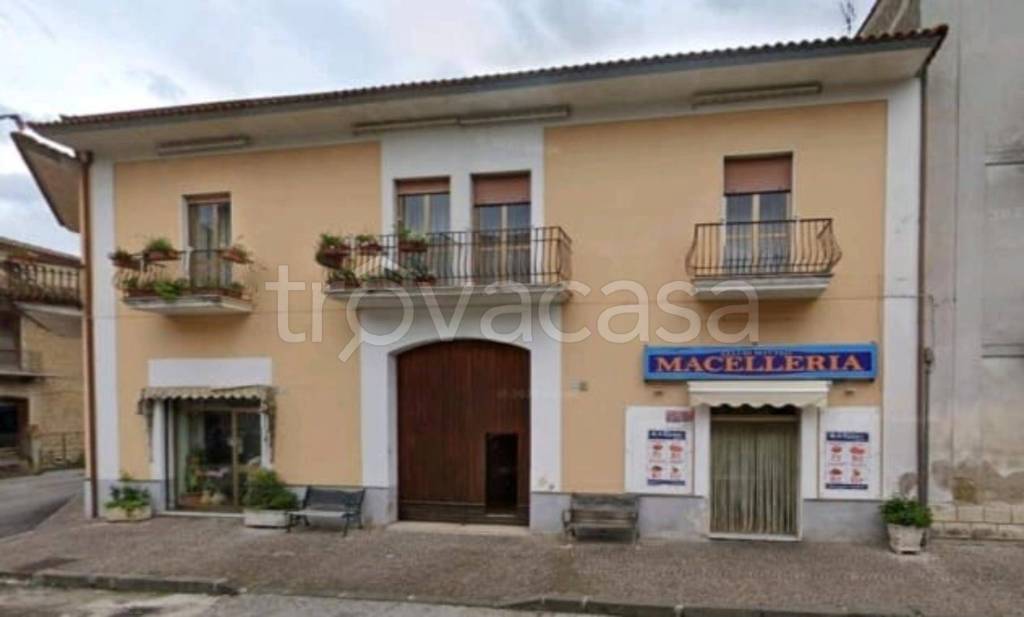 immagine annuncio 3 di 12