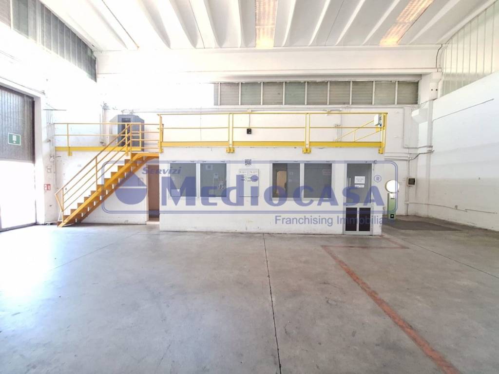 immagine annuncio 3 di 15