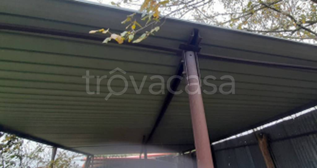 immagine annuncio 5 di 11