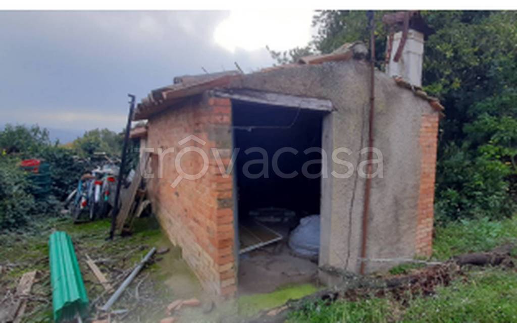 immagine annuncio 8 di 11