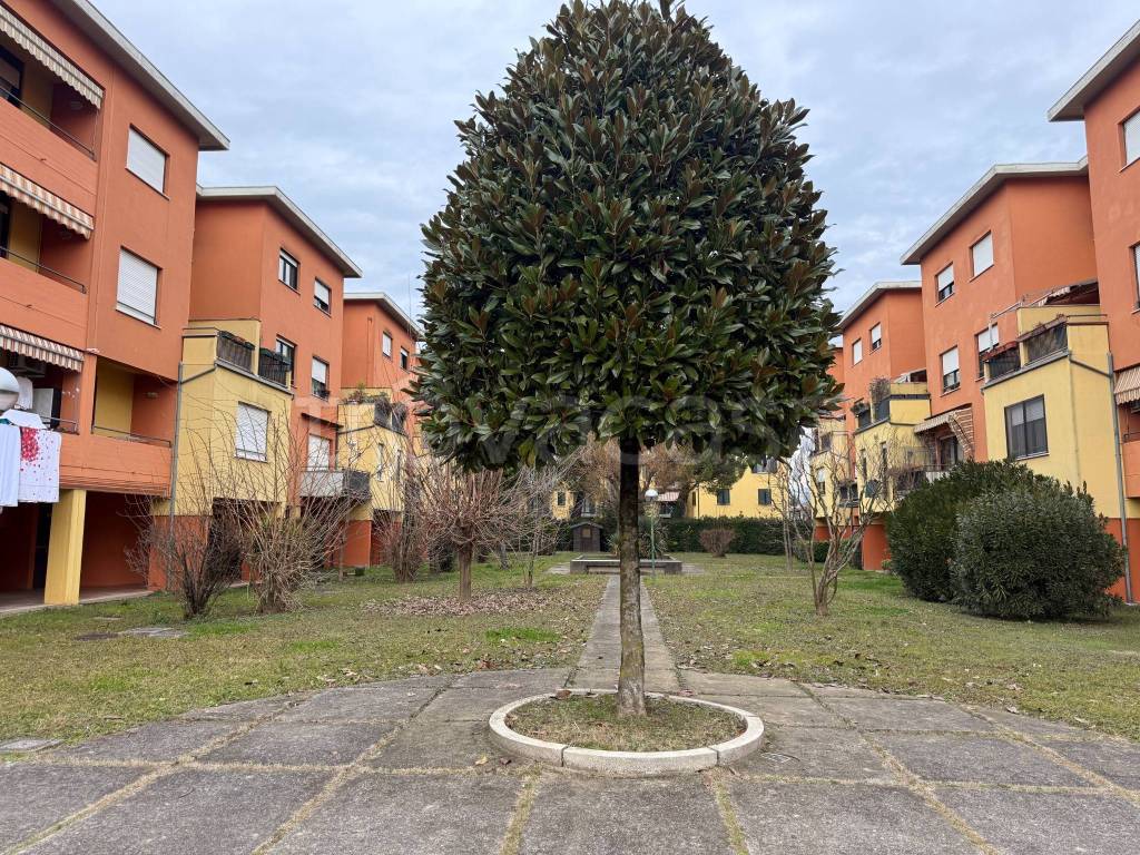 immagine annuncio 2 di 15