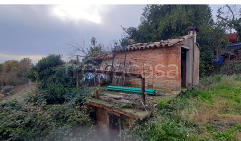 immagine annuncio 9 di 11