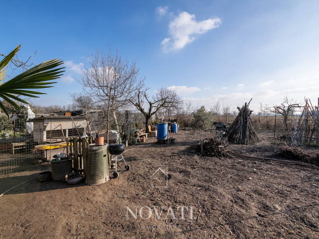 immagine annuncio 12 di 14