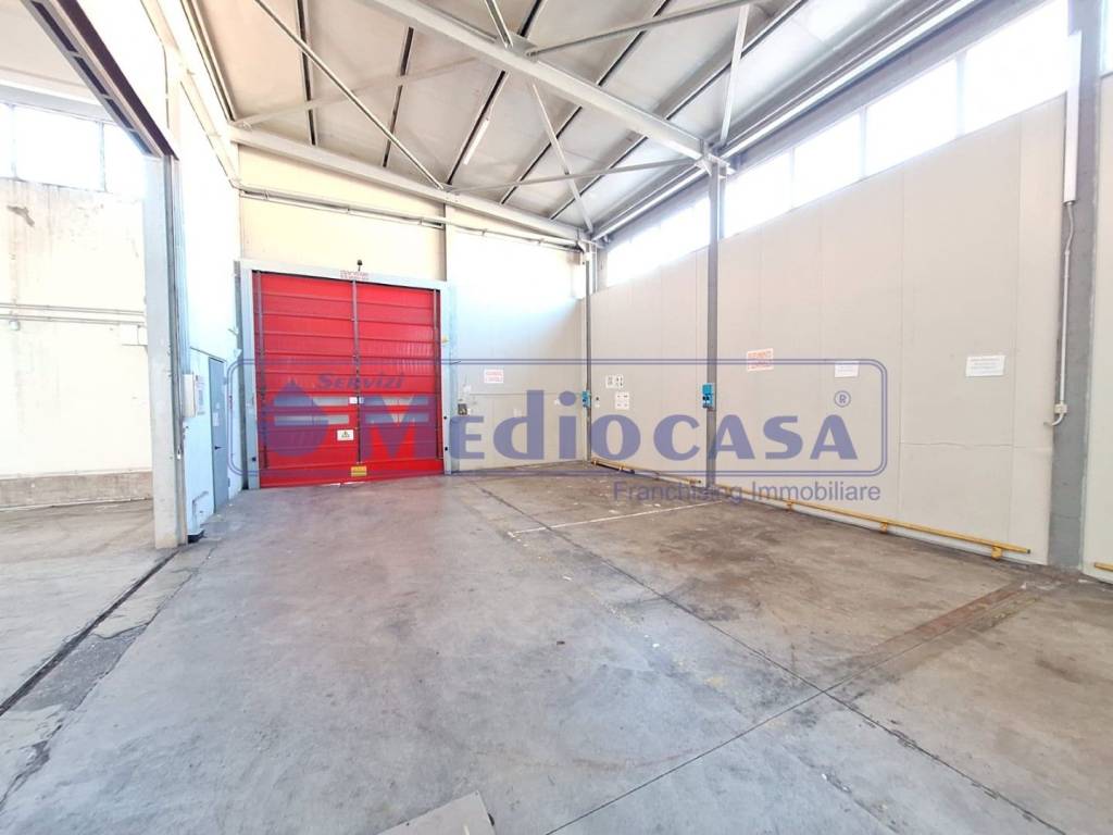 immagine annuncio 4 di 15