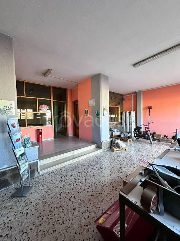 immagine annuncio 3 di 14