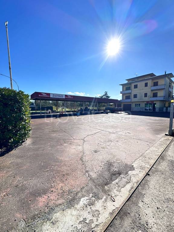 immagine annuncio 7 di 14