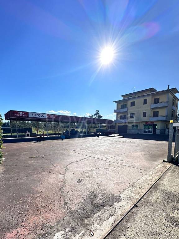 immagine annuncio 13 di 14