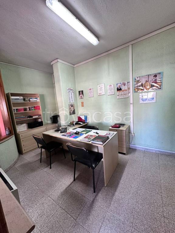 immagine annuncio 5 di 14