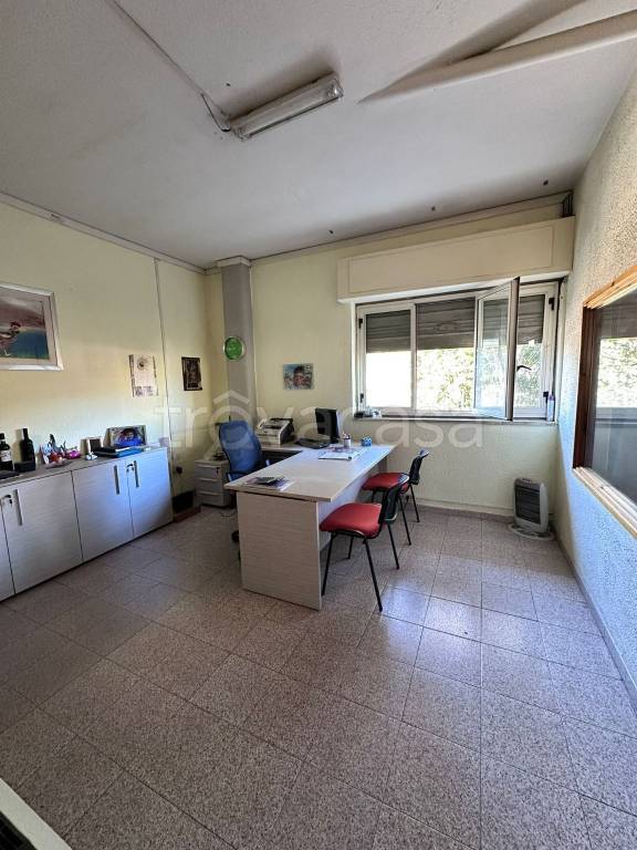 immagine annuncio 6 di 14