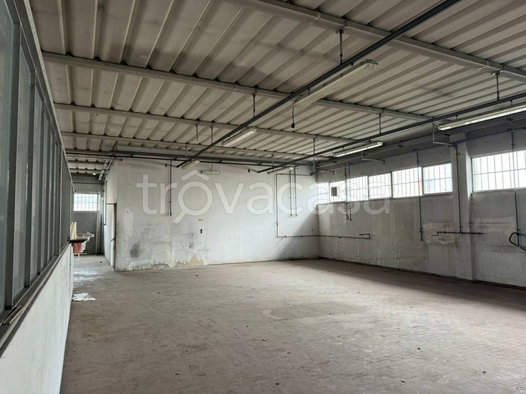 immagine annuncio 1 di 6