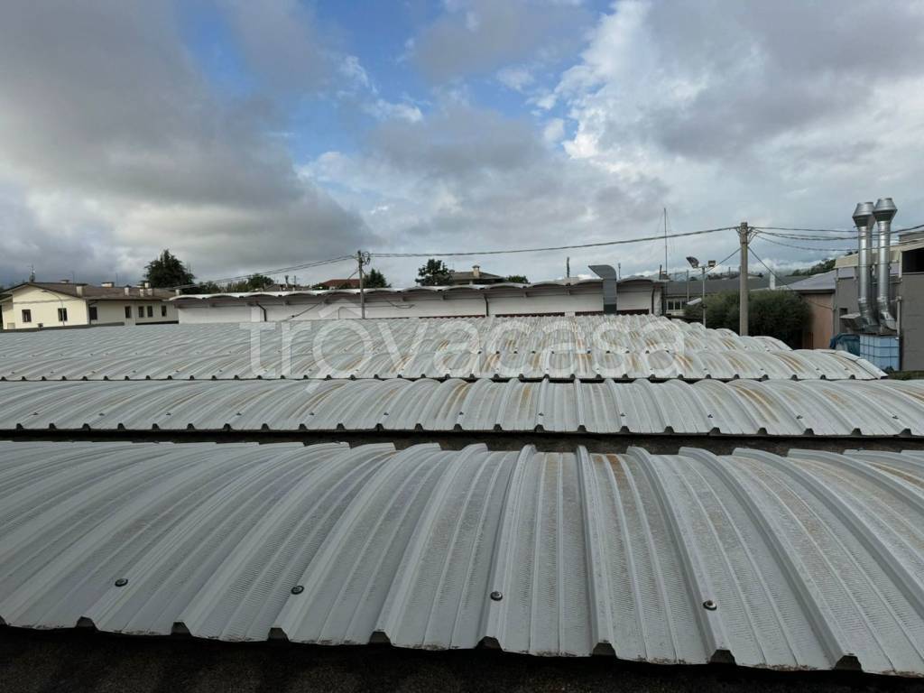 immagine annuncio 4 di 6