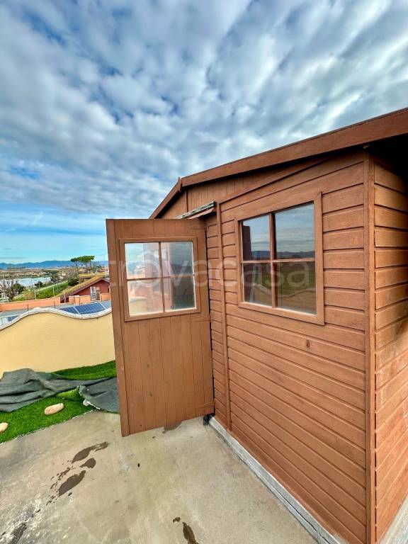 immagine annuncio 12 di 14