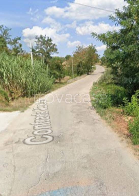 immagine annuncio 7 di 11