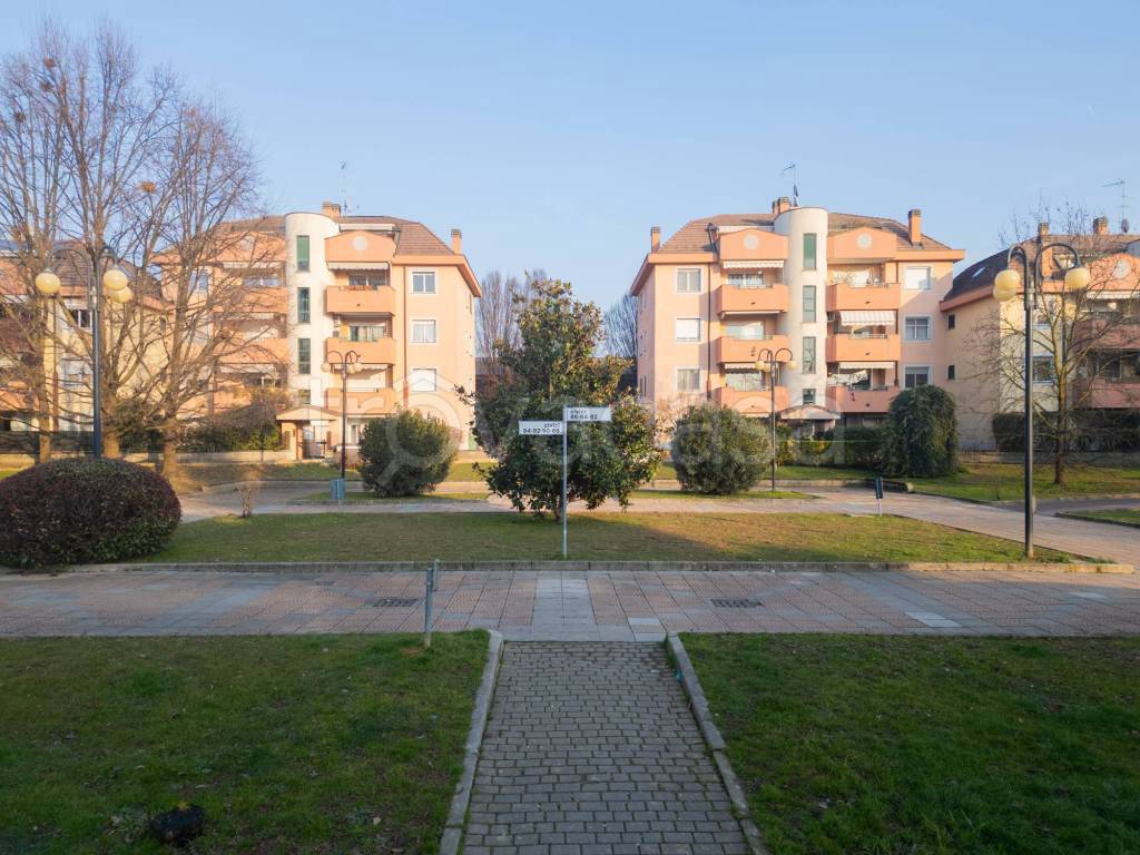 immagine annuncio 1 di 15