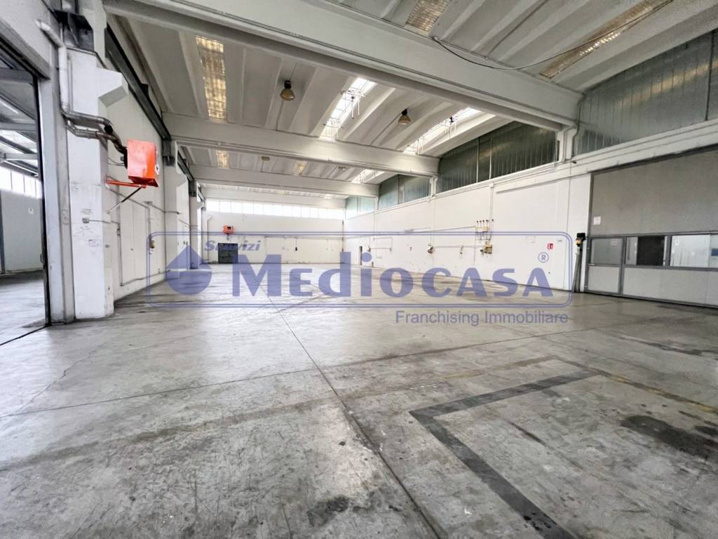 immagine annuncio 10 di 15