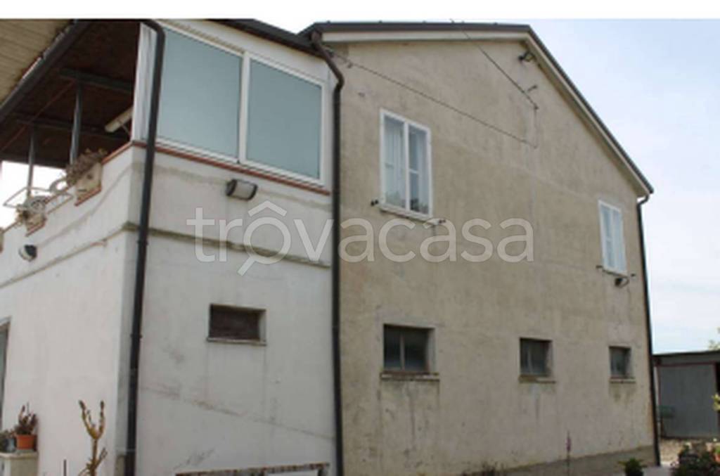 immagine annuncio 4 di 12