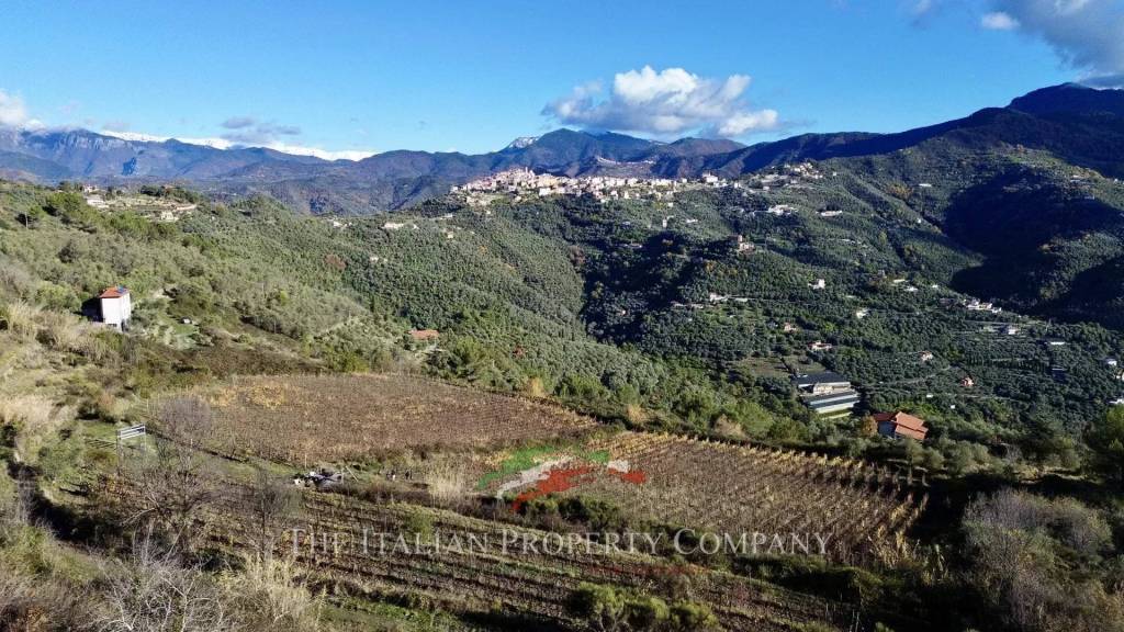 immagine annuncio 8 di 13