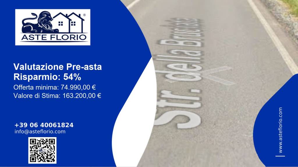 immagine annuncio 1 di 12