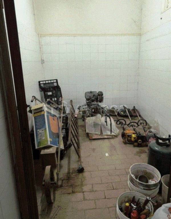 immagine annuncio 9 di 11