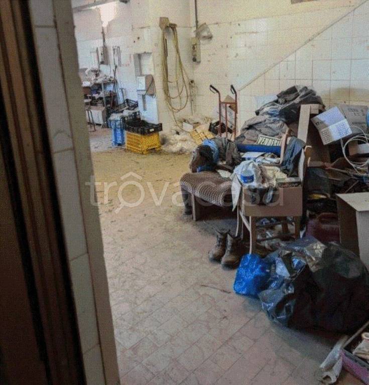 immagine annuncio 10 di 11