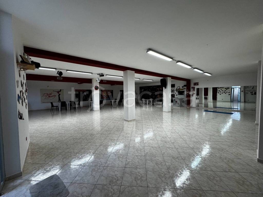 immagine annuncio 12 di 13