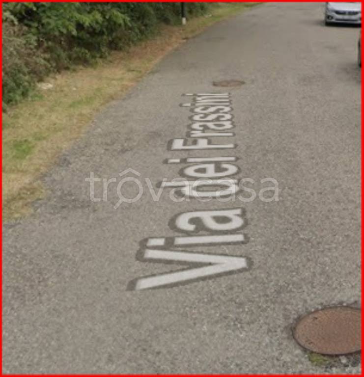 immagine annuncio 9 di 12