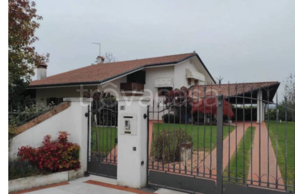 immagine annuncio 4 di 12