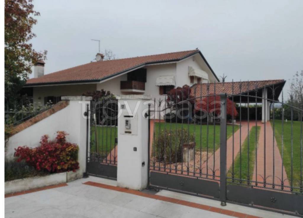 immagine annuncio 11 di 12