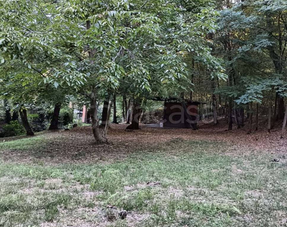 immagine annuncio 3 di 12