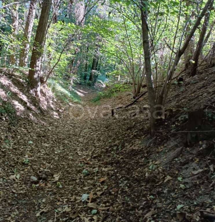 immagine annuncio 6 di 12